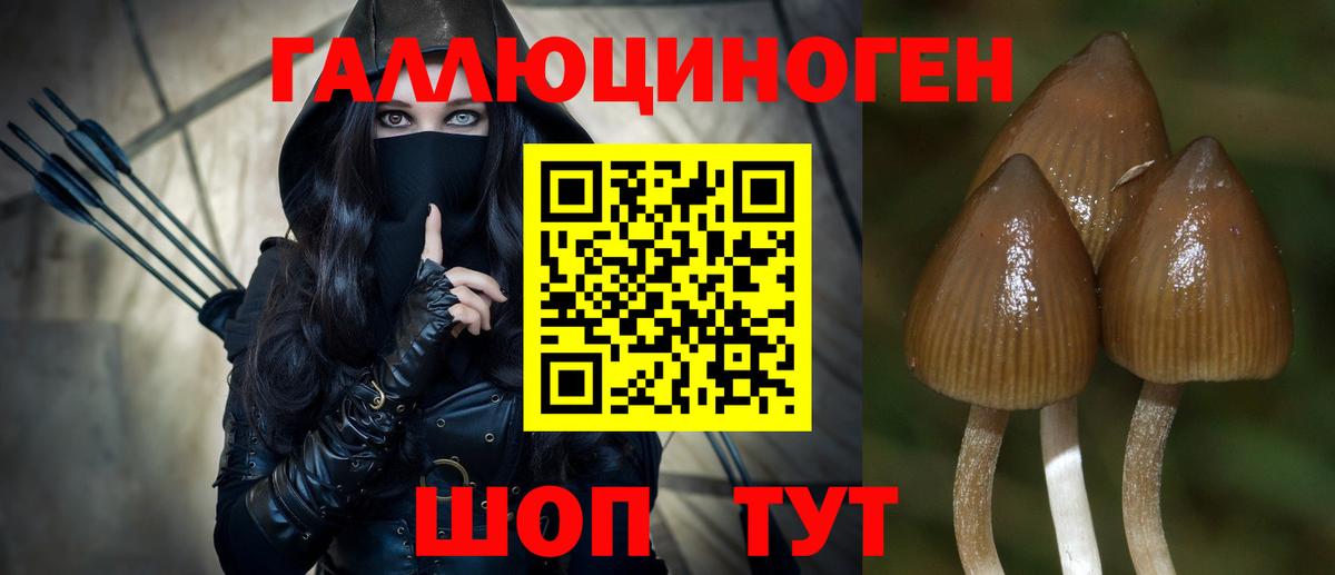 Черкесск  Галлюциногенные грибы Psilocybine cubensis  Вход с VPN  Галлюциногенные грибы Psilocybe 